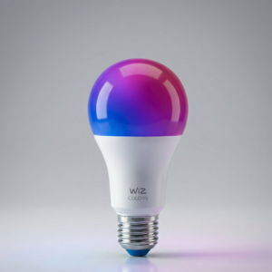 smart-light-bulb-philips-wiz-a60-standard