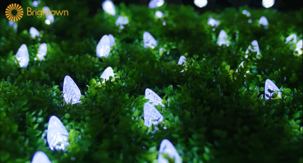 Guirlandes crystal LED - Image 4
